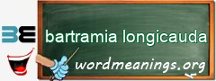 WordMeaning blackboard for bartramia longicauda